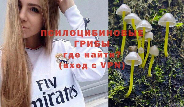кокс Инсар