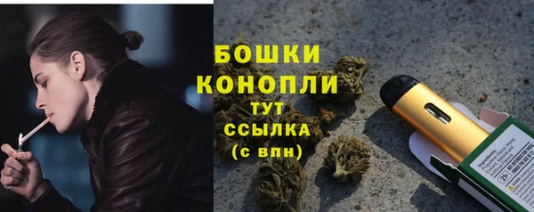 ECSTASY Инта
