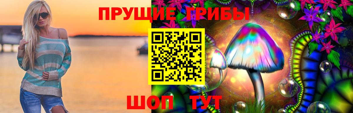 Мирный  Псилоцибиновые грибы MAGIC MUSHROOMS  Вход с VPN  Псилоцибиновые грибы мицелий 